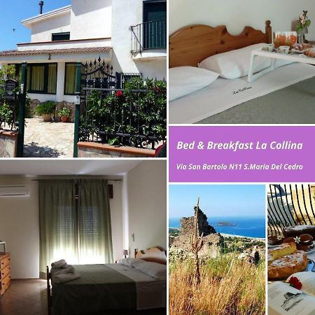 La Collina Bed & Breakfast Santa Maria Del Cedro Bagian luar foto
