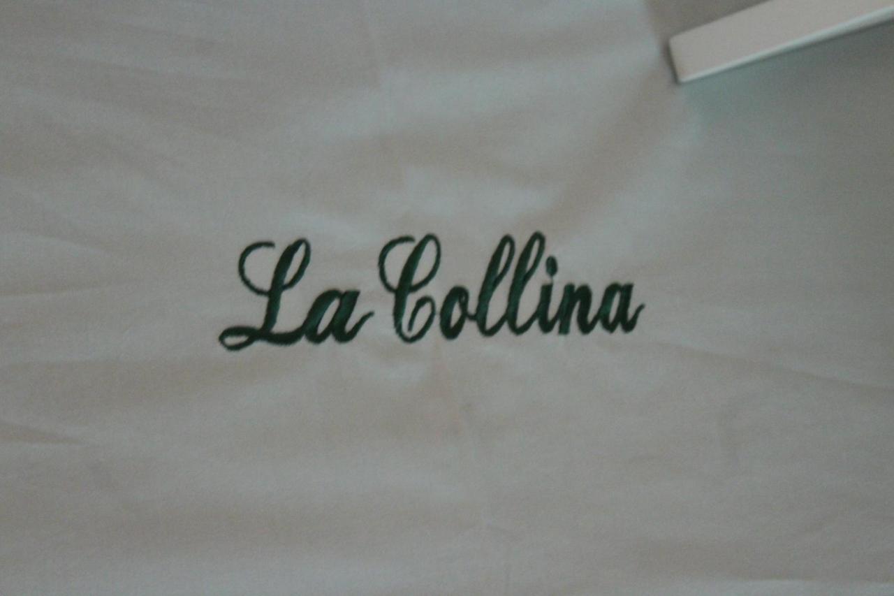 La Collina Bed & Breakfast Santa Maria Del Cedro Bagian luar foto