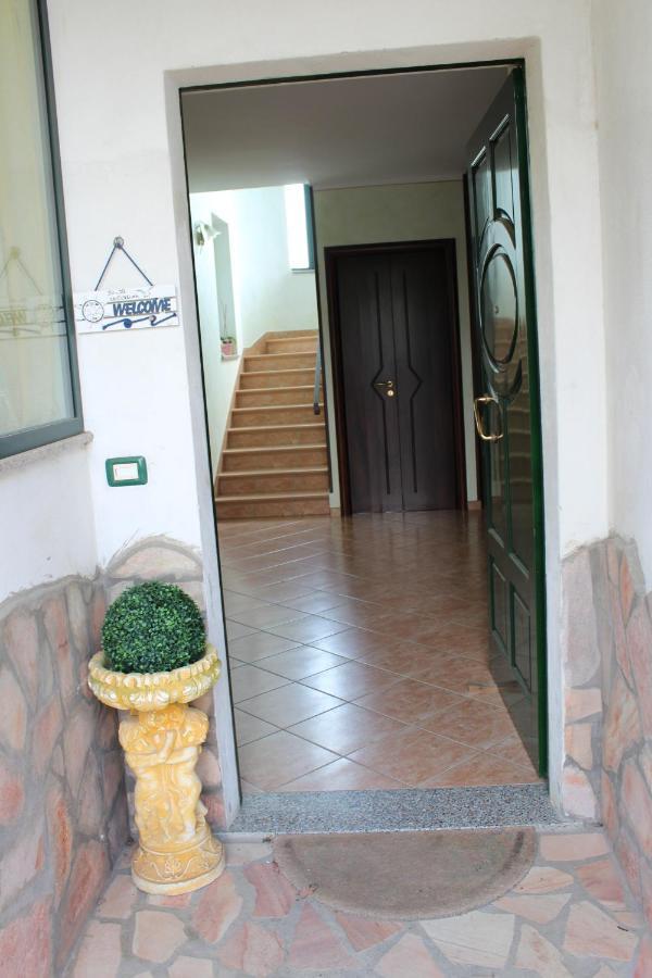 La Collina Bed & Breakfast Santa Maria Del Cedro Bagian luar foto