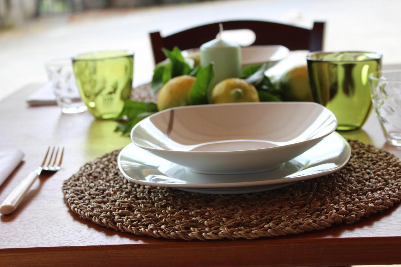 La Collina Bed & Breakfast Santa Maria Del Cedro Bagian luar foto